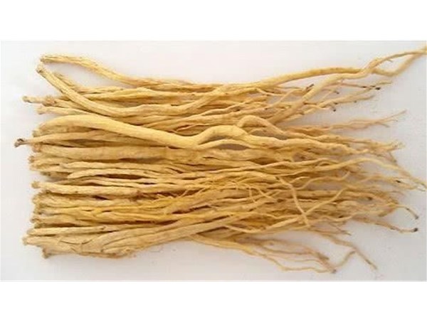 黨參烘干機節能環保