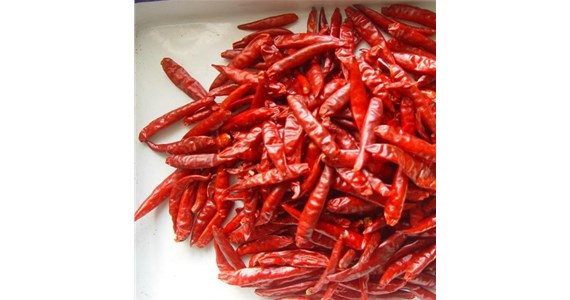 辣椒烘干機設備需要特別定制嗎