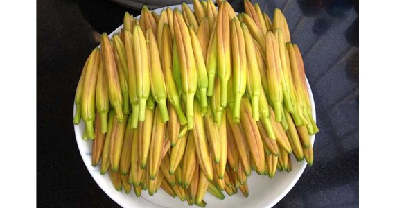 用黃花菜烘干機(jī)烘干后的黃花菜好吃嗎？