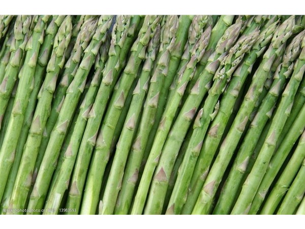 蔬菜烘干機可以用來做什么 蔬菜烘干機受歡迎的因素