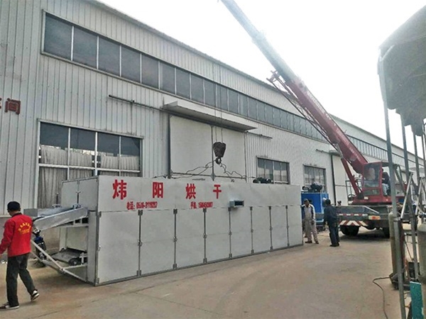 金絲皇菊網帶烘干機（點擊進入）